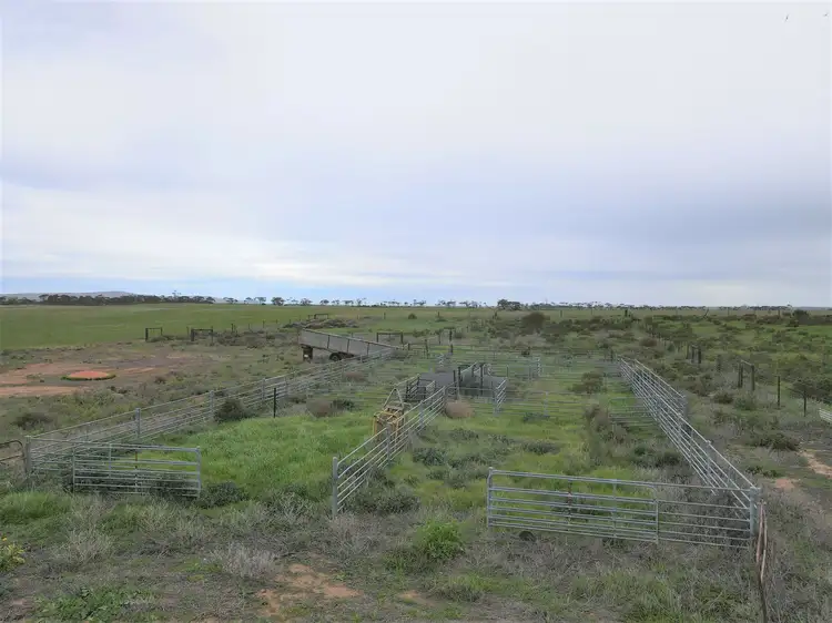 Seventh view of Homely rural property listing, * Mundoora Boundary Rd, Mundoora SA 5555