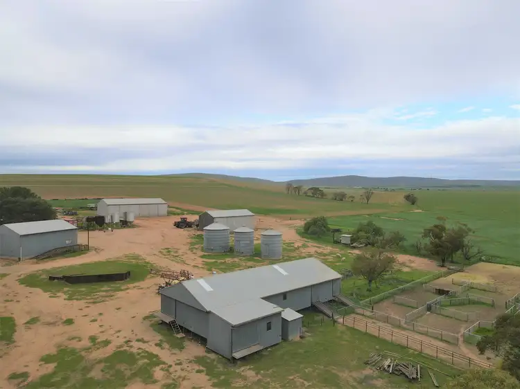 743 Mundoora Powerline Rd, Mundoora SA 5555