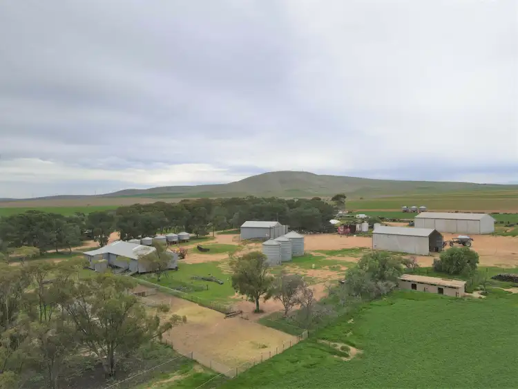 Second view of Homely rural property listing, 743 Mundoora Powerline Rd, Mundoora SA 5555