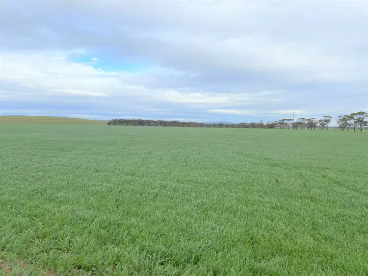 Third view of Homely rural property listing, 743 Mundoora Powerline Rd, Mundoora SA 5555