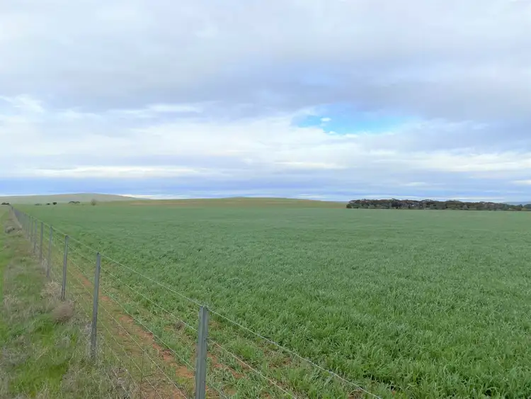 Fifth view of Homely rural property listing, 743 Mundoora Powerline Rd, Mundoora SA 5555