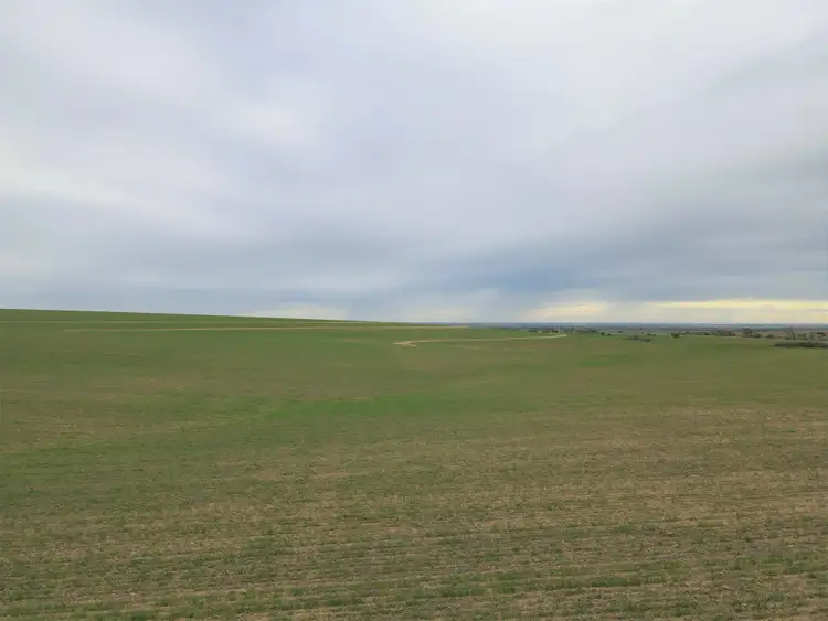 Sixth view of Homely rural property listing, 743 Mundoora Powerline Rd, Mundoora SA 5555