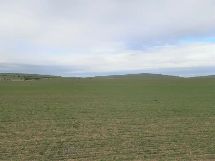 Seventh view of Homely rural property listing, 743 Mundoora Powerline Rd, Mundoora SA 5555