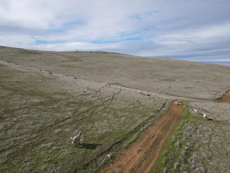 Fourth view of Homely rural property listing, * Watts Range Road, Gulnare SA 5471