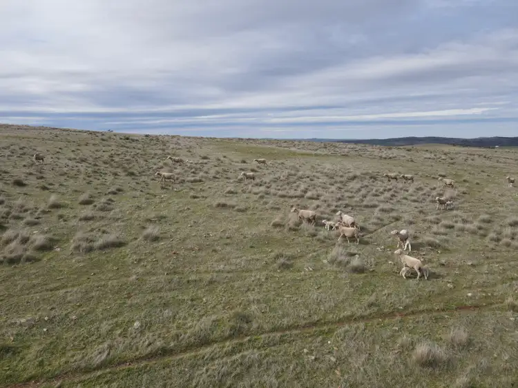 Fifth view of Homely rural property listing, * Watts Range Road, Gulnare SA 5471