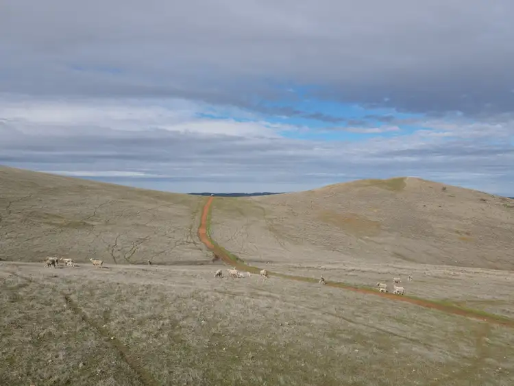 Seventh view of Homely rural property listing, * Watts Range Road, Gulnare SA 5471