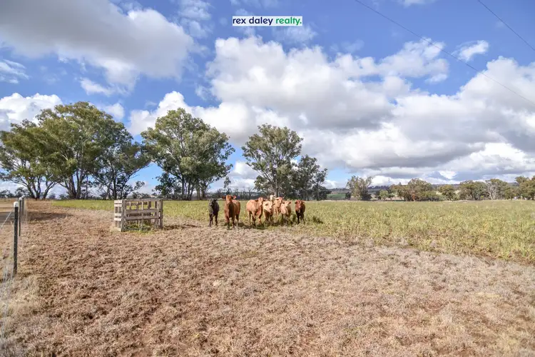 Third view of Homely rural property listing, 175 Rob Roy Road, Inverell NSW 2360