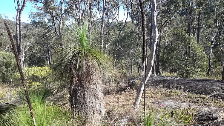 Fourth view of Homely land listing, 8 Ruby St, Herberton QLD 4887