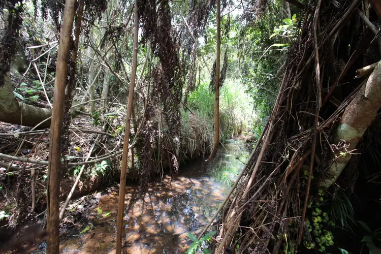 Sixth view of Homely land listing, Lot 94 Holly Street, Peeramon QLD 4885