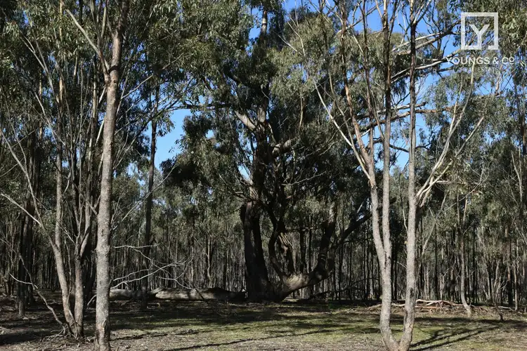Main view of Homely rural property listing, 310 Woolshed Road, Murchison VIC 3610