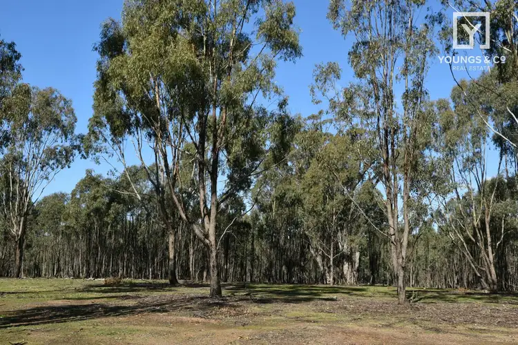 Fifth view of Homely rural property listing, 310 Woolshed Road, Murchison VIC 3610