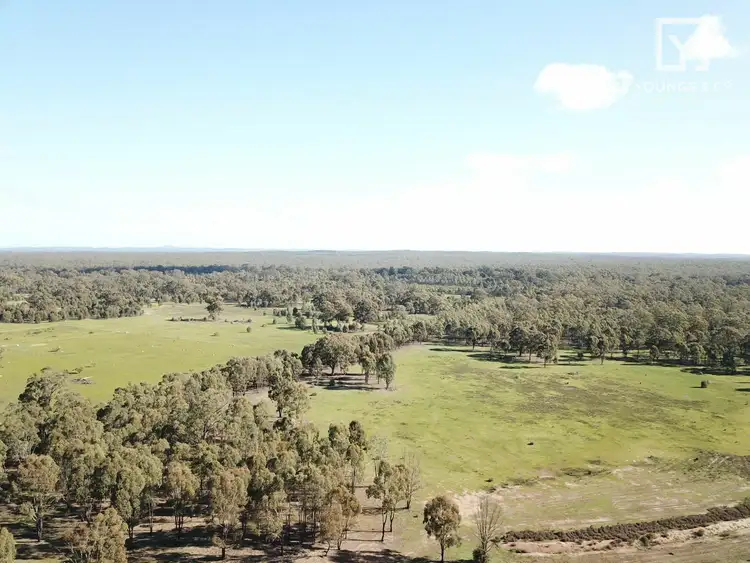 Seventh view of Homely rural property listing, 310 Woolshed Road, Murchison VIC 3610
