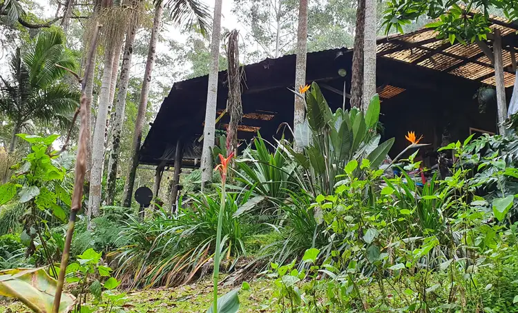 127 Terpentine Road, Kyogle NSW 2474