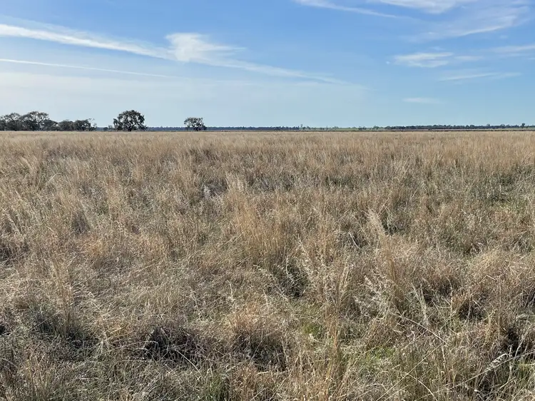 Second view of Homely rural property listing, Lot/2 Lake Road, Urana NSW 2645