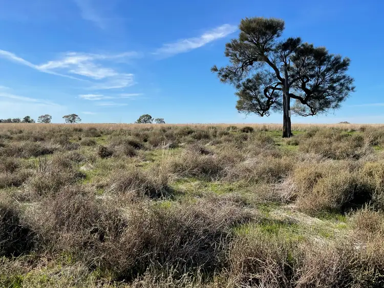 Third view of Homely rural property listing, Lot/2 Lake Road, Urana NSW 2645
