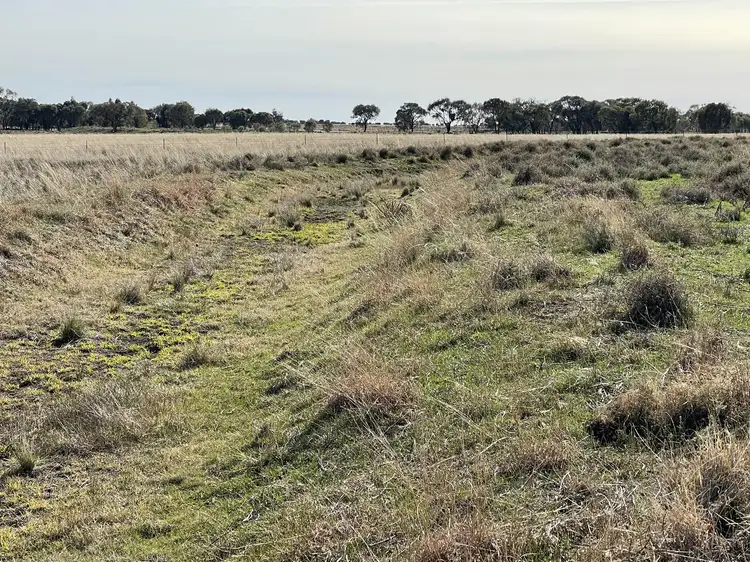 Fifth view of Homely rural property listing, Lot/2 Lake Road, Urana NSW 2645