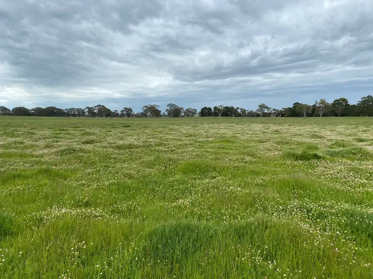 Seventh view of Homely rural property listing, Section/34 & 36 Crooked Lane, Bool Lagoon SA 5271