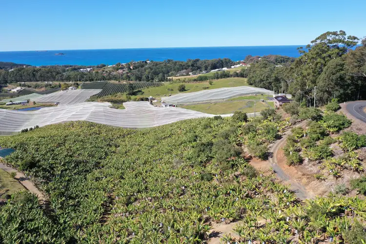 Third view of Homely rural property listing, 130 Bruxner Park Rd, Korora NSW 2450