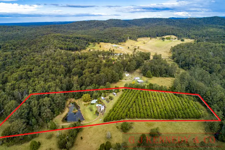 Third view of Homely house listing, 392 Maras Creek Rd, Utungun NSW 2447