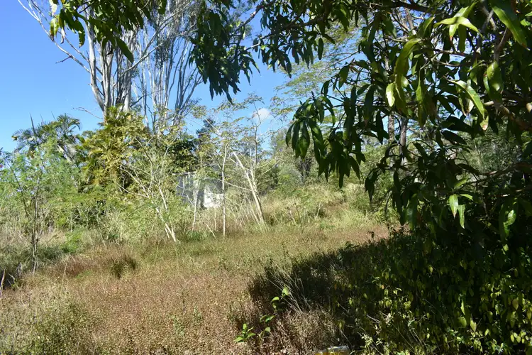 Sixth view of Homely rural property listing, 116 Five Mile Rd W, Tinana South QLD 4650