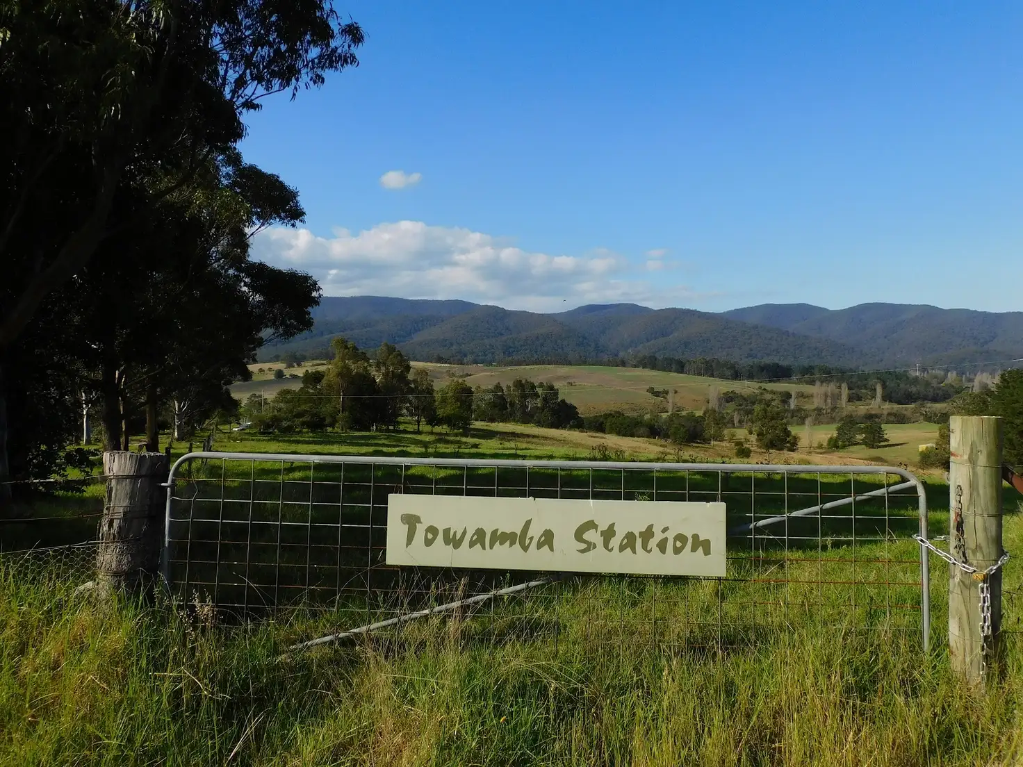 Main view of Homely rural property listing, 201 Pericoe Rd, Towamba NSW 2550