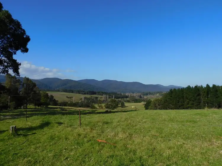 Fifth view of Homely rural property listing, 201 Pericoe Rd, Towamba NSW 2550