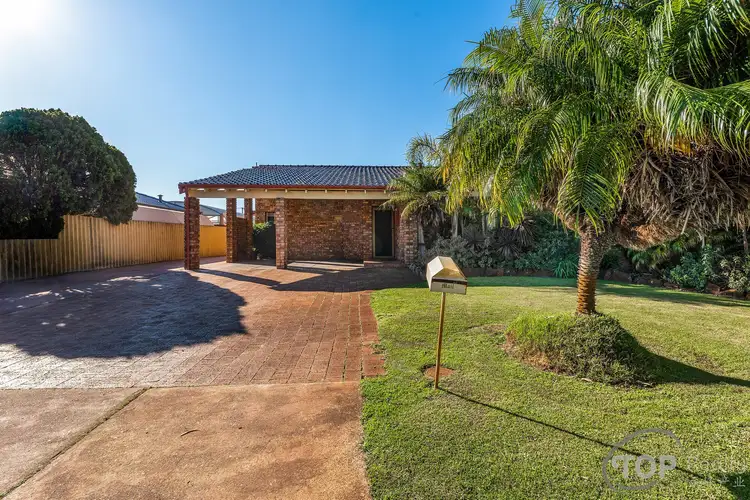 Main view of Homely house listing, 8 Davie Court, Willetton WA 6155