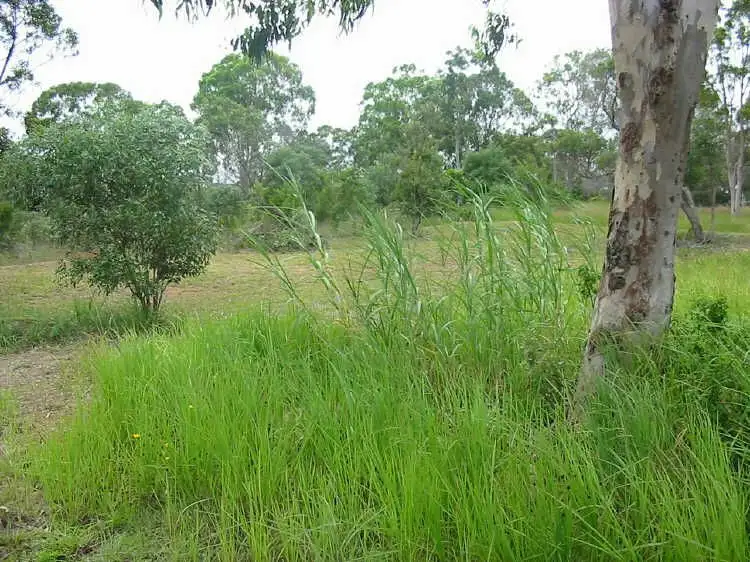 Second view of Homely land listing, 52 Wahine Dr, Russell Island QLD 4184