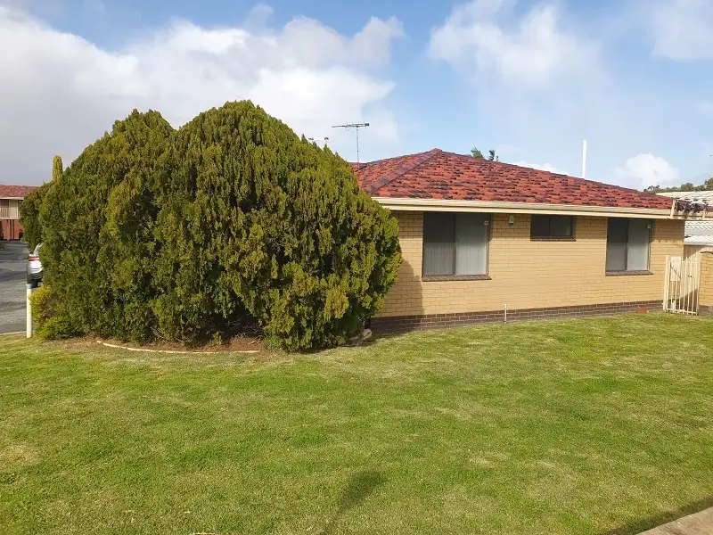 Main view of Homely villa listing, Unit 20/168 Hector Street, Osborne Park WA 6017