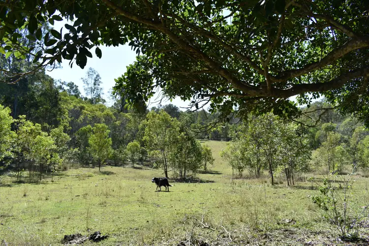 Sixth view of Homely rural property listing, Lot 29 One Thirty Rd, Woocoo QLD 4620