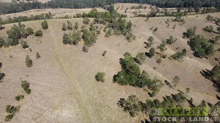 Third view of Homely rural property listing, Lot 4, 82, 99, 101 Willi Willi Road, Temagog NSW 2440