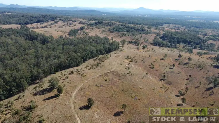 Seventh view of Homely rural property listing, Lot 4, 82, 99, 101 Willi Willi Road, Temagog NSW 2440