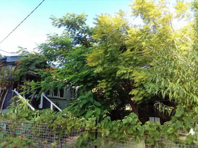 Main view of Homely house listing, 117 Canaipa Point Drive, Russell Island QLD 4184