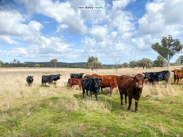 Second view of Homely rural property listing, 1975 Nullamanna Road, Inverell NSW 2360