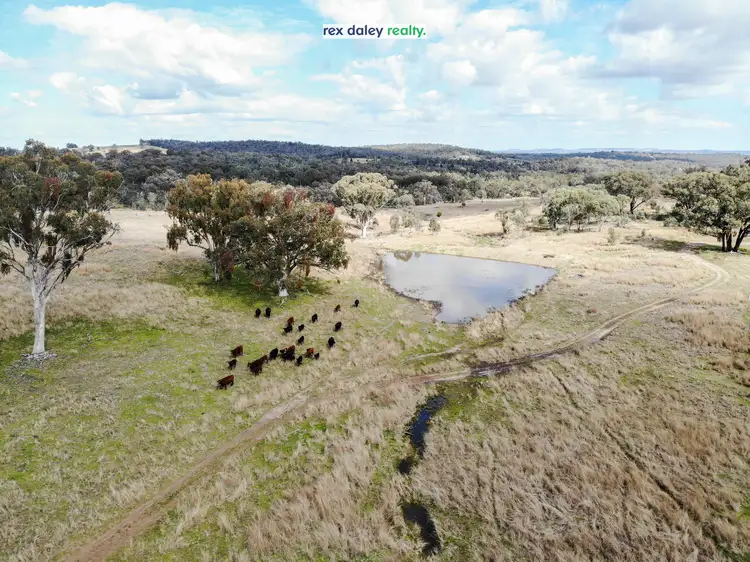 Third view of Homely rural property listing, 1975 Nullamanna Road, Inverell NSW 2360