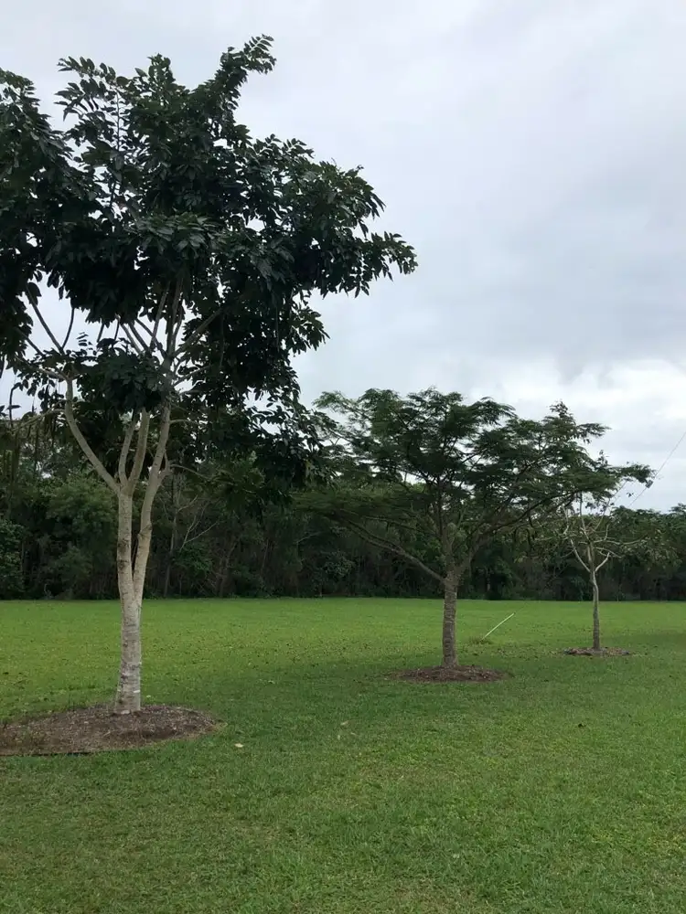 Seventh view of Homely land listing, Proposed Lot 5 Hull Heads Road, Hull Heads QLD 4854