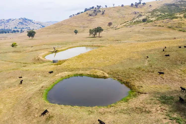 'Wagra Park'/101 Spring Creek Rd, Tallangatta VIC 3700