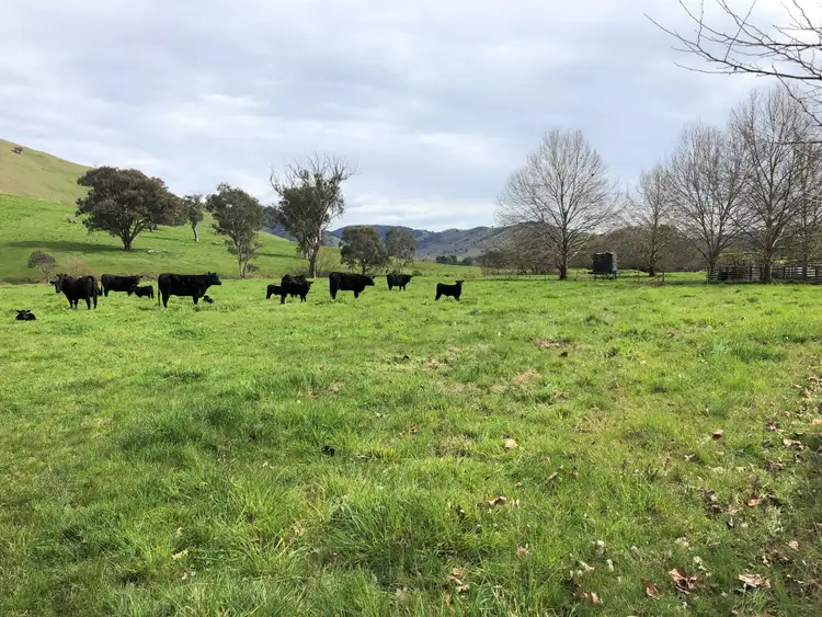 Sixth view of Homely rural property listing, 'Wagra Park'/101 Spring Creek Rd, Tallangatta VIC 3700