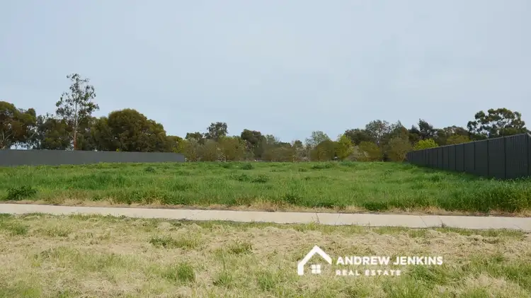 10 Packham Drive, Cobram VIC 3644