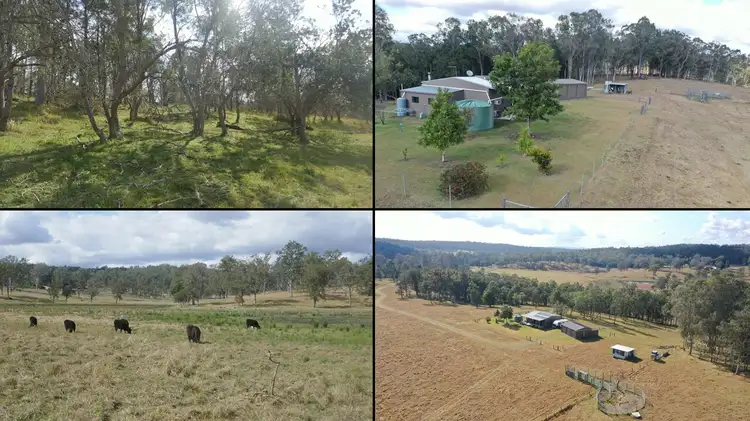 Third view of Homely rural property listing, 1169 Old Dyraaba Road, Casino NSW 2470