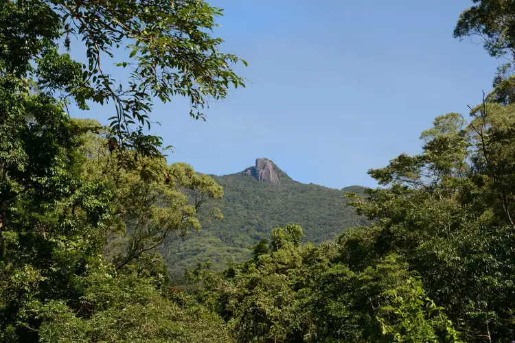 Seventh view of Homely house listing, 702 Whyanbeel Road, Whyanbeel QLD 4873