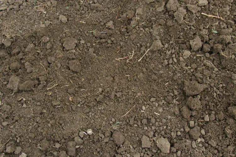 Seventh view of Homely rural property listing, Address available on request