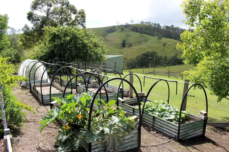 Third view of Homely rural property listing, 202 Bundook Road, Gloucester NSW 2422