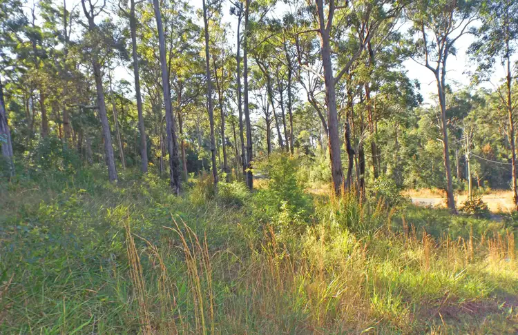 L17 Glider Spur, Kew NSW 2439