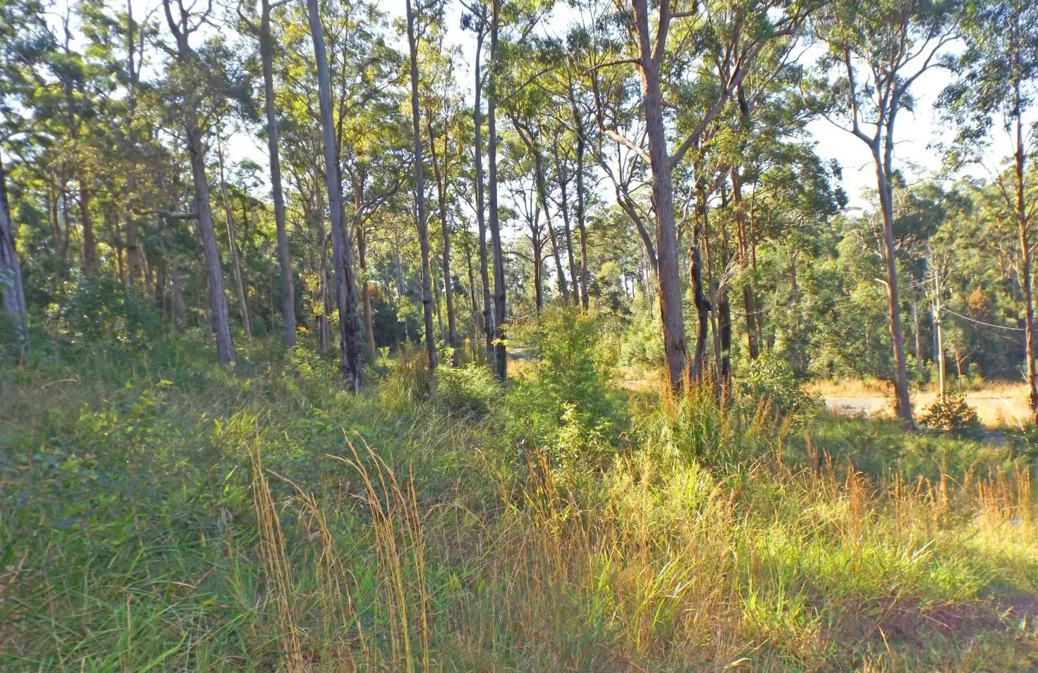 Main view of Homely land listing, L17 Glider Spur, Kew NSW 2439
