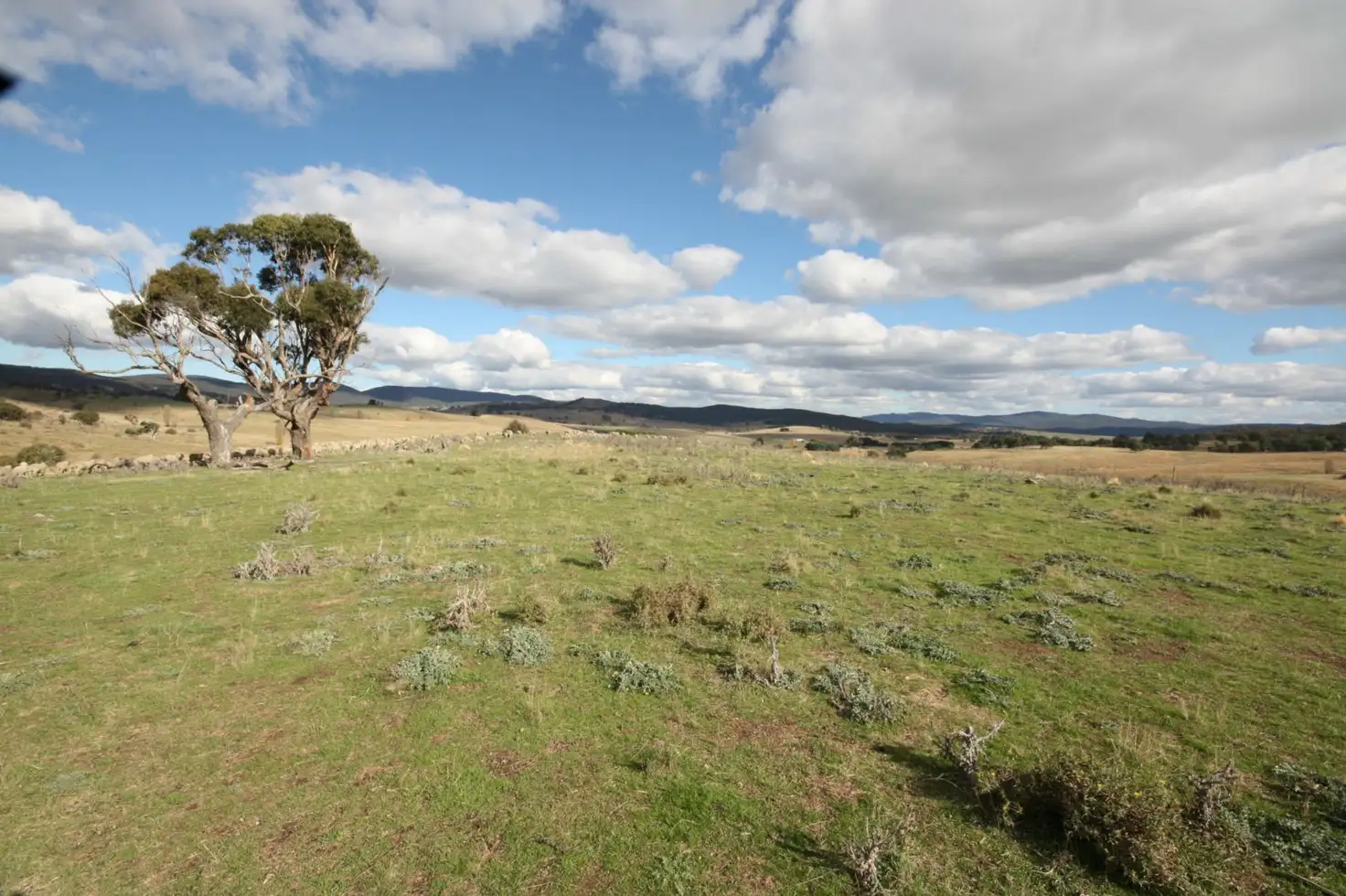 Main view of Homely land listing, 55 Daniel Lane, Forbes Creek NSW 2621