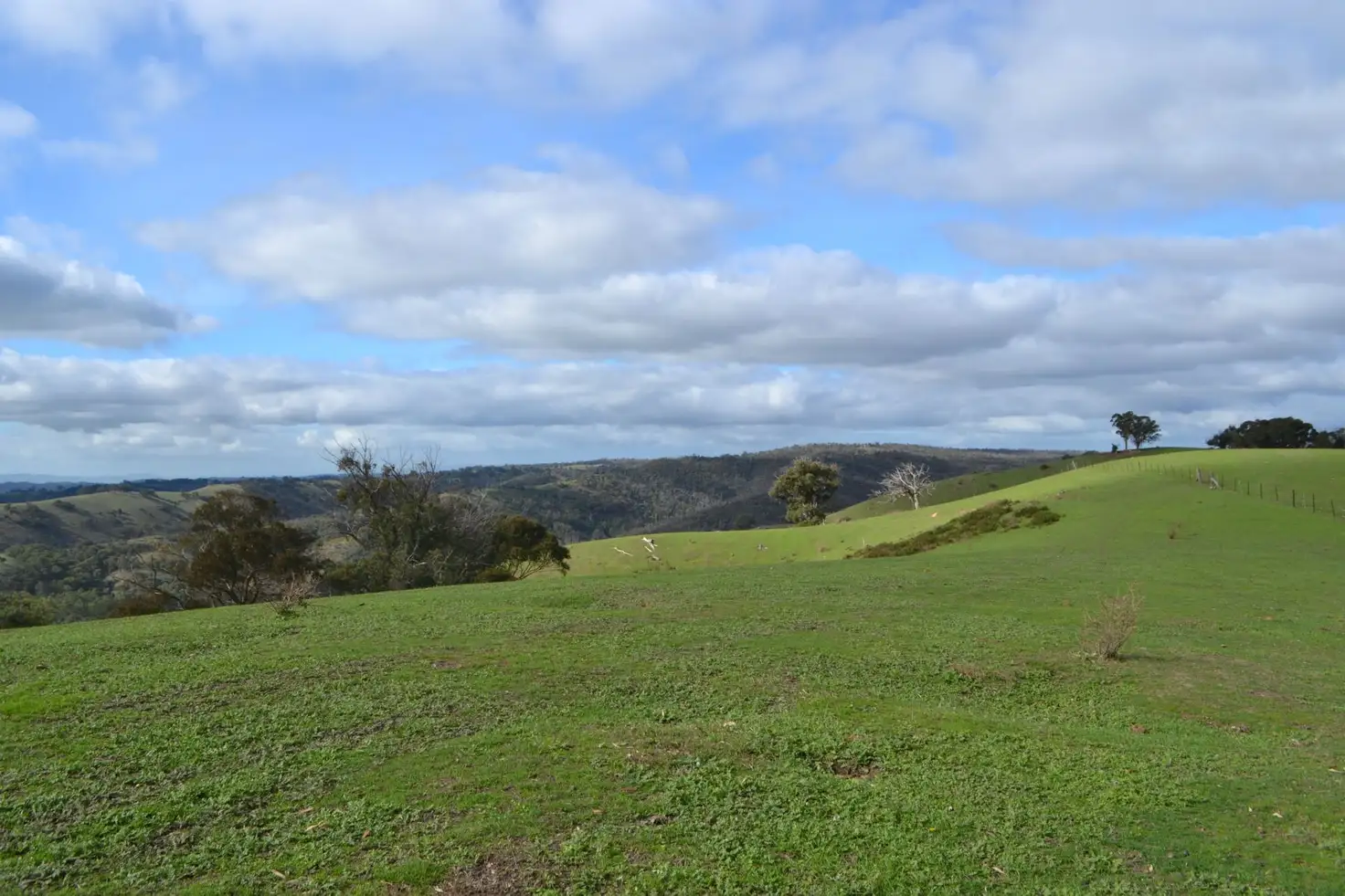Main view of Homely land listing, 540 Doctors Creek Road, Clonbinane VIC 3658