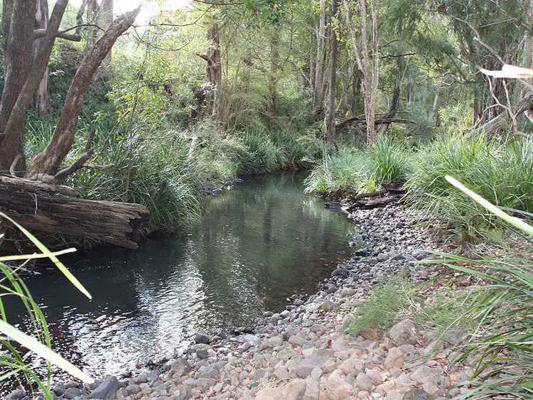 Sixth view of Homely rural property listing, LOT 22 Larkins Road, Murwillumbah NSW 2484