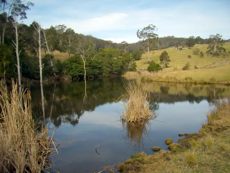 Second view of Homely rural property listing, 610 Nethercote Road, Nethercote NSW 2549