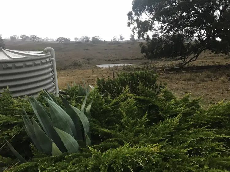 Fourth view of Homely rural property listing, 1234 Razorback Rd, Running Stream NSW 2850